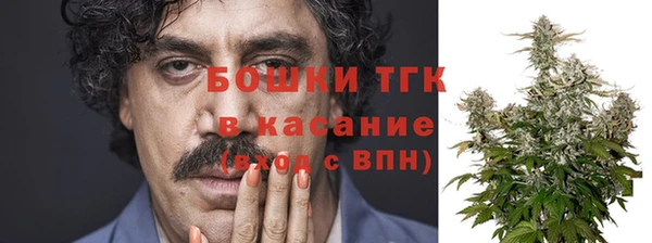 сатива Верхний Тагил