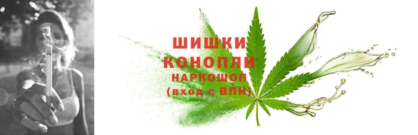 сатива Верхний Тагил