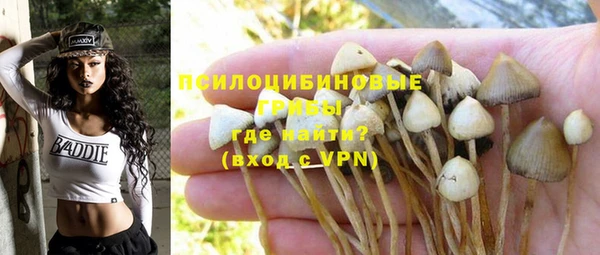 сатива Верхний Тагил