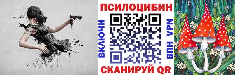 Купить где Новомичуринск Галлюциногенные грибы Psilocybine cubensis