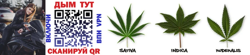 Купить закладки Новомичуринск МАРИХУАНА THC 21%